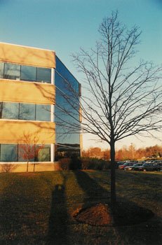 Union Meeting Corporate Center Building 5 