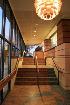 AAA Northampton County- Renovations Entry Stairs