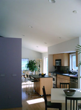 Rosensweet Residence - New Construction Kitchen